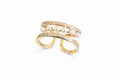 Goldener Ring Nr6